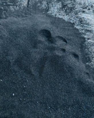 Terra vulcanica dell’Etna 
