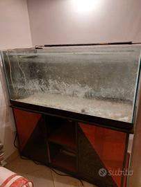 acquario 300 lit