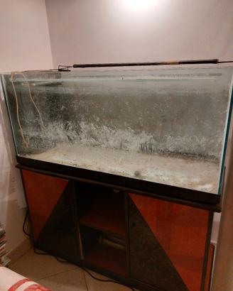acquario 300 lit
