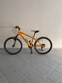 Bicicletta MTB