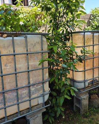 contenitori acqua