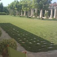 Porto Cesareo a 7 km ma immersi nel verde