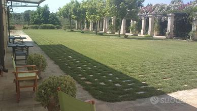 Porto Cesareo a 7 km ma immersi nel verde