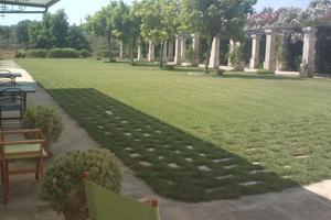 Porto Cesareo a 7 km ma immersi nel verde