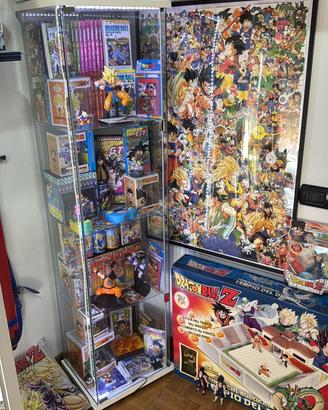 Ritiro lotti Manga Figure e Videogiochi