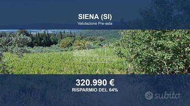 Immobile in asta di 357673 m² a Siena