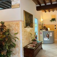 NEGOZIO A FONTANELLATO