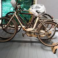 Bicicletta da donna
