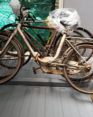 Bicicletta da donna
