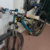  MTB 29 CARBONIO