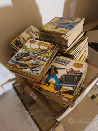 raccolta fumetti 