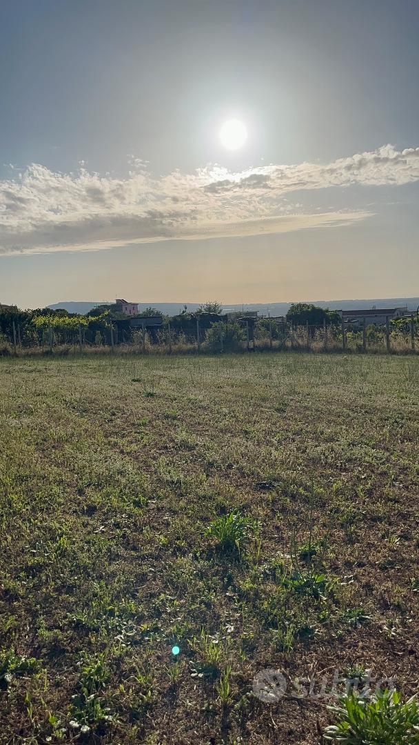 Terreno agricolo - Pollena Trocchia - Vista 2
