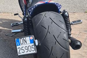 Harley v rod special