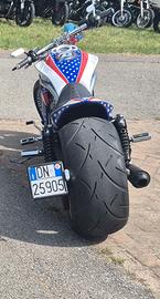 Harley v rod special