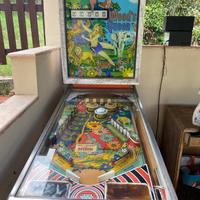 flipper anni 70-80