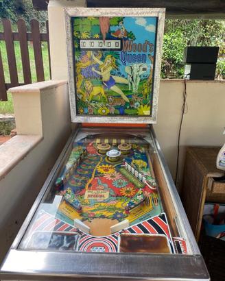 flipper anni 70-80