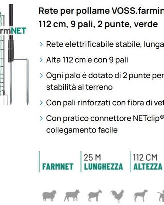 Rete elettrica per galline-pollame