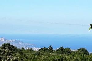 Sant'Alfio AltaTenuta di 11 ettari con fabbricati