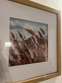 quadro spighe di grado