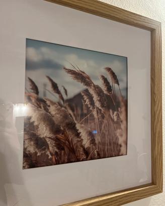 quadro spighe di grado