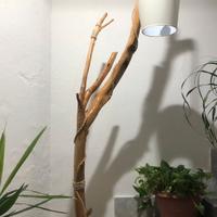 Arredo casa