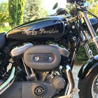 Harley Davidson 883C