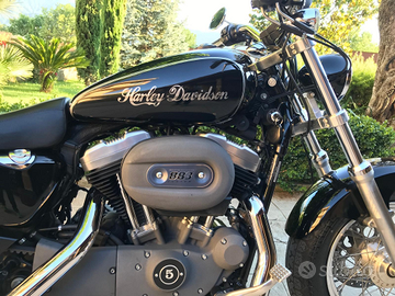 Harley Davidson 883C