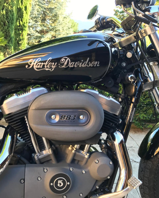 Harley Davidson 883C