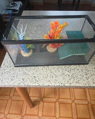 acquario piccolo per tartarughe 