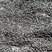 Seme di cipolla nostrana