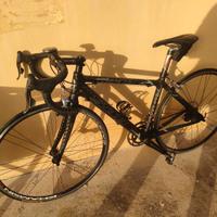 Bici in carbonio SAB