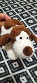 cagnolino morbido e tenero 