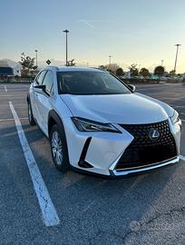 Auto Lexus UX