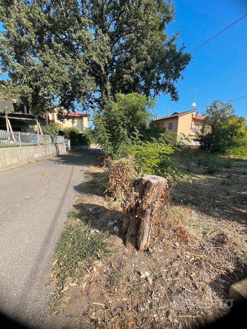 terreno agricolo 5000 mq 2 accessi in abitato - Vista 5