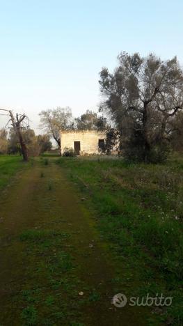 Terreno agricolo con annessa casa rustica di 40mq