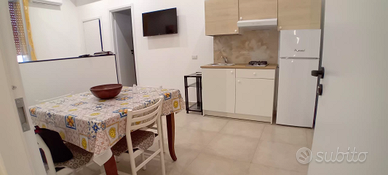 Monolocale università ospedale civico ismett