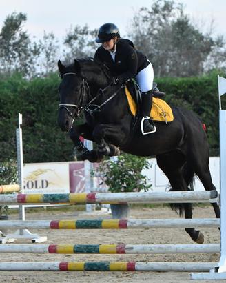Cavallo da salto