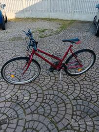 bici da donna raggio 26