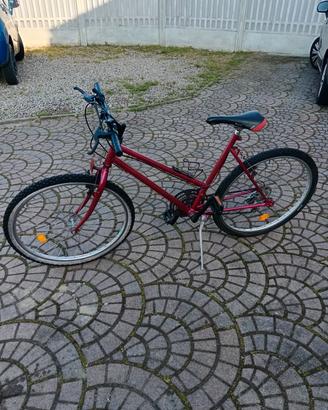 bici da donna raggio 26