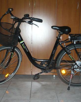 Bici pedalata assistita