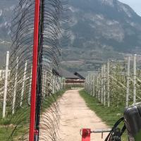 Spazzola dirado meccanico