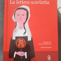 libro di letteratura da leggere 