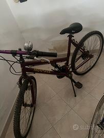 Mountain bike