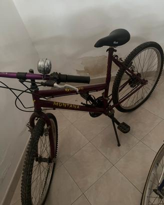 Mountain bike