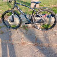 MTB OLYMPIA 29  CLSX CARBON 