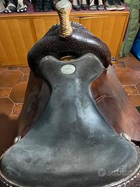 Sella americana billy cook