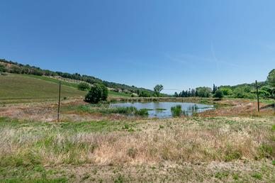 Terreno agricolo a Civitanova Marche 1 locali