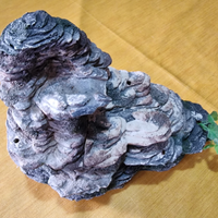 Isoletta apribile per Tartarughe d'Acqua