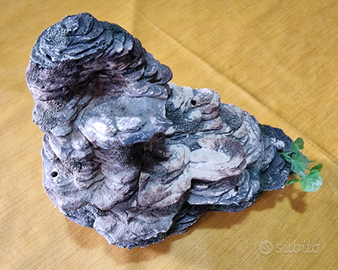 Isoletta apribile per Tartarughe d'Acqua