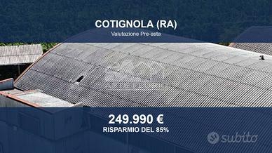 Immobile in asta di 8957 m² a Cotignola